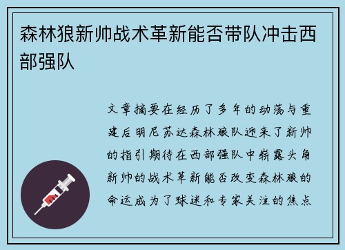 森林狼新帅战术革新能否带队冲击西部强队